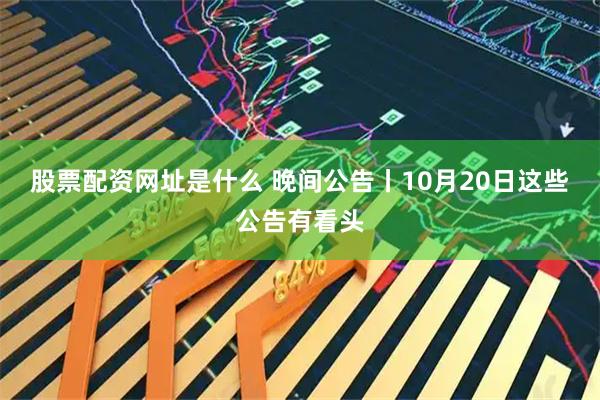 股票配资网址是什么 晚间公告丨10月20日这些公告有看头