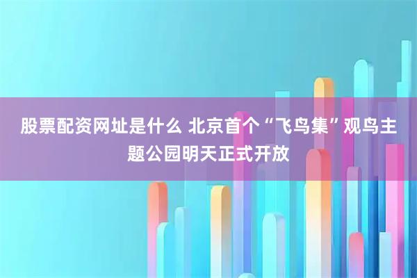 股票配资网址是什么 北京首个“飞鸟集”观鸟主题公园明天正式开放